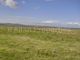 Thumbnail Land for sale in Harray, Orkney