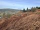 Thumbnail Land for sale in Land At Glanrhyd, Llanwddyn, Oswestry, Powys