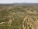 Thumbnail Land for sale in Luz De Tavira, 8800, Portugal