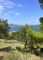 Thumbnail Property for sale in Banyuls Sur Mer, Languedoc-Roussillon, 66650, France