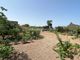 Thumbnail Country house for sale in Tf 567, Vilaflor, Tenerife, Canary Islands, Spain
