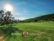 Thumbnail Land for sale in Todi, Umbria, Italy