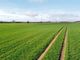 Thumbnail Land for sale in Land Off Mask Lane, Newton On Derwent, York