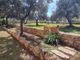 Thumbnail Villa for sale in Fasano, Puglia, 72015, Italy