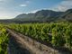 Thumbnail Farm for sale in Hemel En Aarde, Hermanus, 7200, South Africa