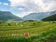 Thumbnail Land for sale in Trento, Trentino-Alto Adige, Italy