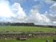 Thumbnail Semi-detached house to rent in Tremail, Camelford, Cornwall