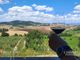 Thumbnail Farm for sale in Montepulciano, Tuscany, Italy