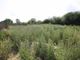 Thumbnail Land for sale in Kirklington Road, Hockerton, Southwell