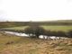 Thumbnail Land for sale in Plot 5, Willows By The Water, Auchencross, New Cumnock