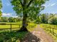 Thumbnail Equestrian property for sale in Elstead, Nr. Godalming, Surrey