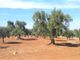 Thumbnail Land for sale in Sp33, Carovigno, Brindisi, Puglia, Italy