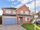 Thumbnail Detached house for sale in Lower Mead, Petersfield, Hampshire
