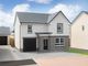 Thumbnail Detached house for sale in "Dalmally" at Carmuirs Drive, Newarthill, Motherwell