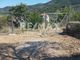 Thumbnail Land for sale in Main Town - Chora, Sporades, Greece