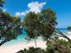 Thumbnail Apartment for sale in Paynes Bay, Paynes Bay, Barbados