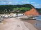 Thumbnail Retail premises for sale in Sidmouth, Devon