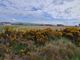 Thumbnail Land for sale in Norseman, Firth, Orkney