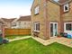 Thumbnail Detached house for sale in Birds Close, Middle Path, Crewkerne