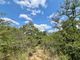 Thumbnail Land for sale in 185 Moria, 185 Moria, Moditlo Nature Reserve, Hoedspruit, Limpopo Province, South Africa