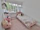 Thumbnail Detached bungalow for sale in Timberlane, Purbrook, Waterlooville