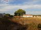 Thumbnail Land for sale in 2510 Óbidos Municipality, Portugal