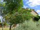 Thumbnail Country house for sale in Manciano, Località Montecavallo, Manciano, Toscana