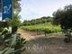 Thumbnail Villa for sale in Piombino, Livorno, Toscana