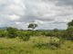 Thumbnail Farm for sale in 1 Buffalo Ranch, 1 Selati Nature Reserve, Selati Game Reserve, Hoedspruit, Limpopo Province, South Africa