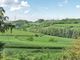 Thumbnail Terraced house for sale in Harberton, Totnes, Devon