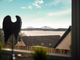 Thumbnail Detached bungalow for sale in The Bridges, Dalgety Bay, Dunfermline