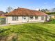 Thumbnail Detached bungalow for sale in Chestnut Close, Storrington