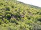 Thumbnail Land for sale in 12 Henry Lauwrie, Thabazimbi, Limpopo Province, South Africa