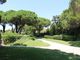 Thumbnail Villa for sale in Ramatuelle, St. Tropez, Grimaud Area, French Riviera