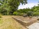 Thumbnail Bungalow for sale in Littlemead Lane, Exmouth, Devon