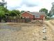 Thumbnail Detached bungalow for sale in Station Road South, Walpole St Andrew, Wisbech, Norfolk