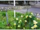 Thumbnail Property for sale in Undercliff Gardens, Ventnor, Isle Of Wight.