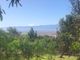 Thumbnail Land for sale in 1090 Lang Street, Riebeek West, Riebeek Valley, Western Cape, South Africa