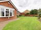 Thumbnail Detached bungalow for sale in Walnut Drive, Scawby, Brigg