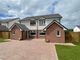 Thumbnail Semi-detached house for sale in Plot 75 The Alloway, Shearwater Grove, Lesmahagow
