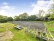 Thumbnail Detached house for sale in Rushlake Green, Heathfield, East Sussex