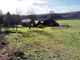 Thumbnail Detached house for sale in 56160 Langoëlan, Morbihan, Brittany, France