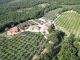 Thumbnail Farm for sale in Ita157, Massa Marittima, Grosseto, Tuscany, Italy