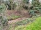 Thumbnail Property for sale in The Green, Hartest, Bury St. Edmunds