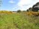 Thumbnail Land for sale in Feabuie, Culloden Moor, Inverness