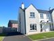 Thumbnail Semi-detached house for sale in Coneyville, Londonderry