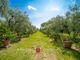 Thumbnail Farm for sale in San Casciano In Val di Pesa, Tuscany, Italy