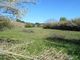 Thumbnail Land for sale in Ladoeiro, Idanha-A-Nova, Castelo Branco, Central Portugal