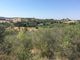 Thumbnail Land for sale in Spain, Mallorca, Muro