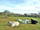 Thumbnail Property for sale in Maxwell Road, Broadstone, Dorset